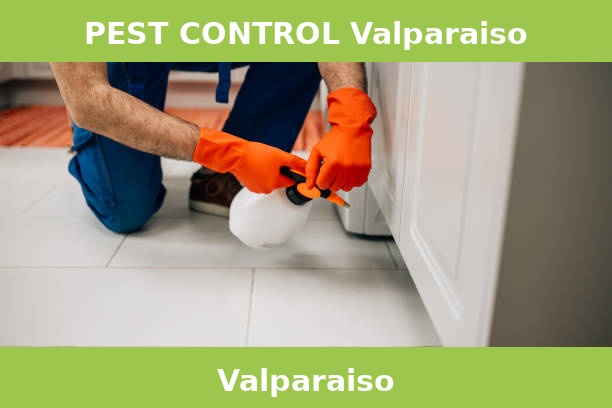 PEST CONTROL Valparaiso